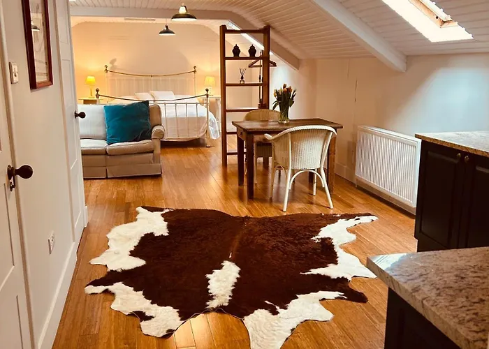 Glastonbury Festival En-Suite Studio With Kitchenette - 2 Miles To Site